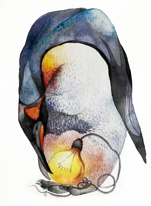Osvícený tučňák